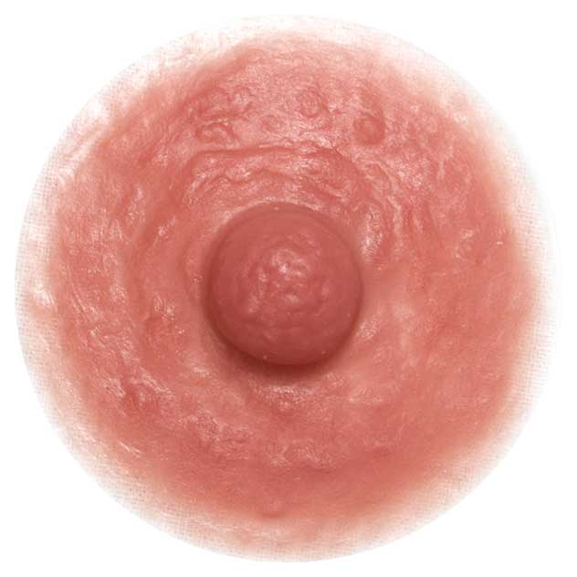 Divine Collection Nippel