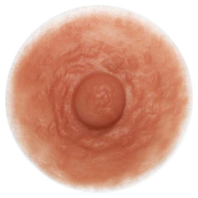 DIVINE COLLECTION APHRODITE  - nipple color rose