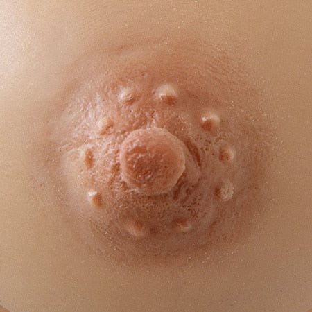 Gold Seal Naked Torso Silikonbrüste