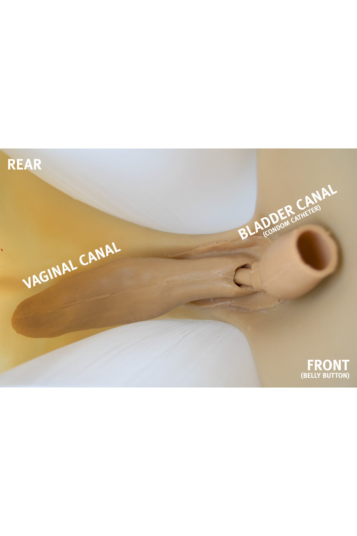 Gold Seal NAKED Vagina Hose mit Vagina und Urin Kanal